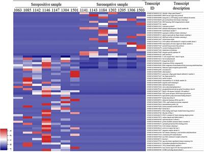 Expression Profiles and Interaction of MicroRNA and Transcripts in Response to Bovine Leukemia Virus Exposure